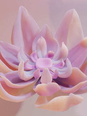 Flower model