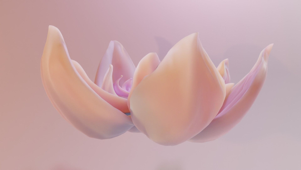 Flower model