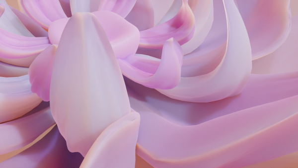Flower model
