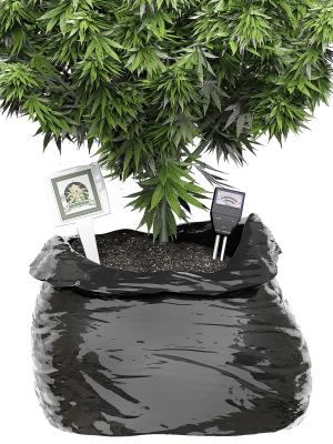 flower-pack-143-3d-model-max-obj-fbx