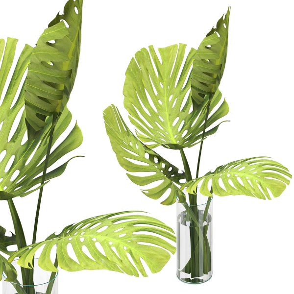 Flower Pack 247C