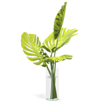 Flower Pack 247C