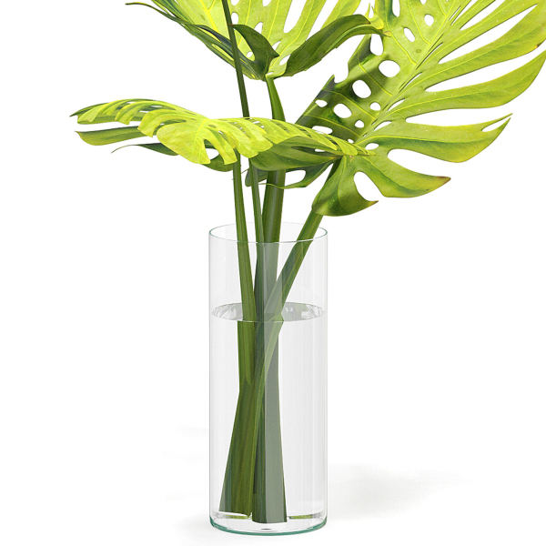Flower Pack 247C