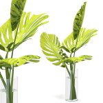 Flower Pack 247C