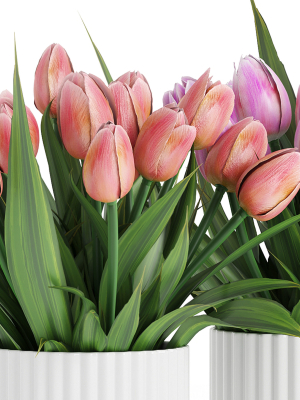 flower-pack-250c-3d-model-max-obj