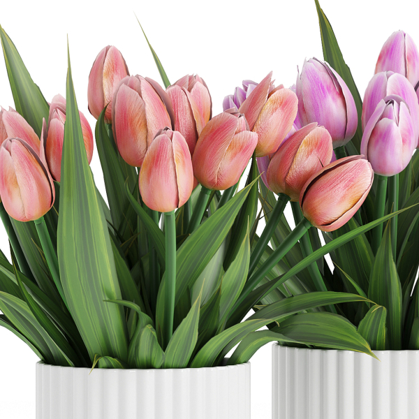 Flower Pack 250c