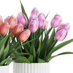 Flower Pack 250c