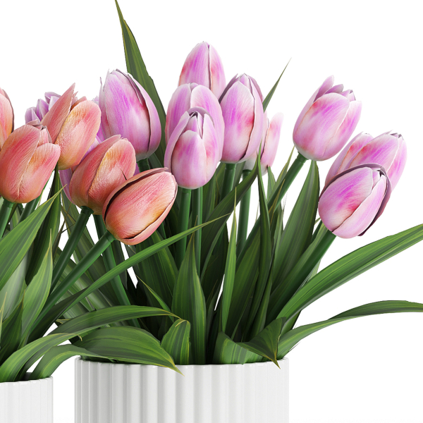 Flower Pack 250c