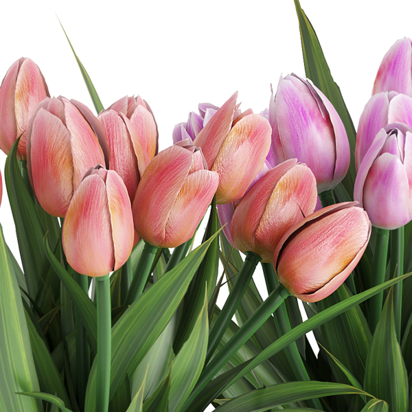 Flower Pack 250c