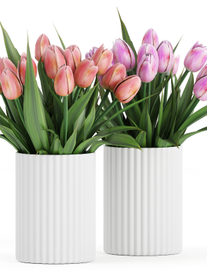 Flower Pack 250c