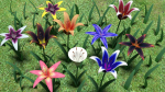 Flower pack