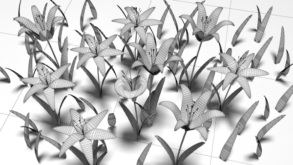 Flower pack