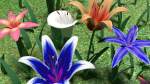 Flower pack