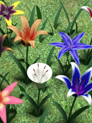 Flower pack