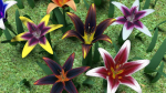 Flower pack