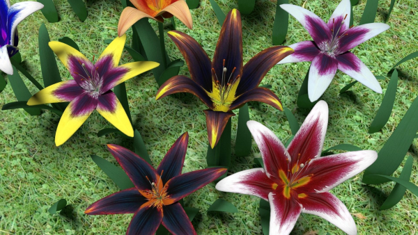 Flower pack