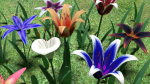 Flower pack