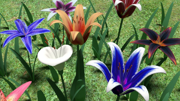 Flower pack
