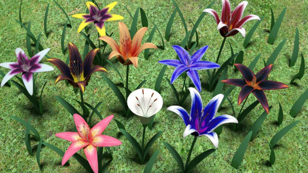 Flower pack