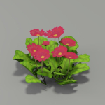 Flower Pack G01