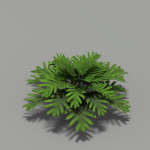 Flower Pack G01