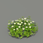 Flower Pack G01