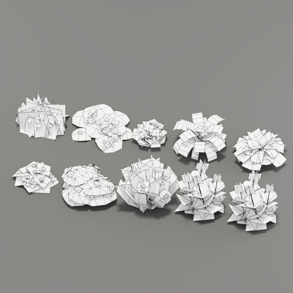 Flower Pack G01