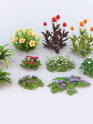 Flower Pack G01