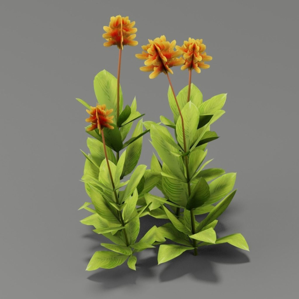 Flower Pack G01