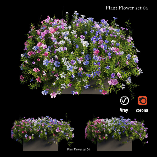 Flower Plant