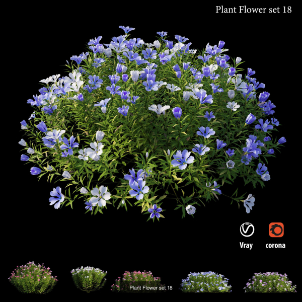 Flower Plant