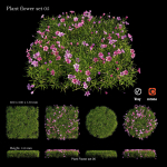 Flower Plant