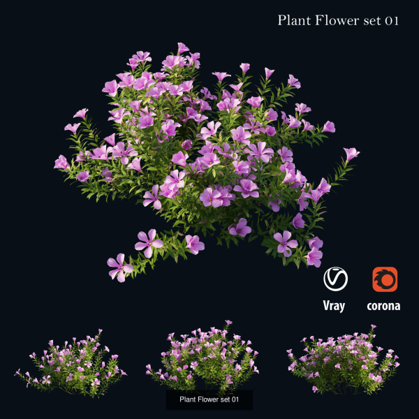Flower Plant