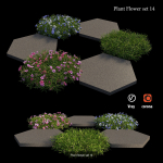 Flower Plant