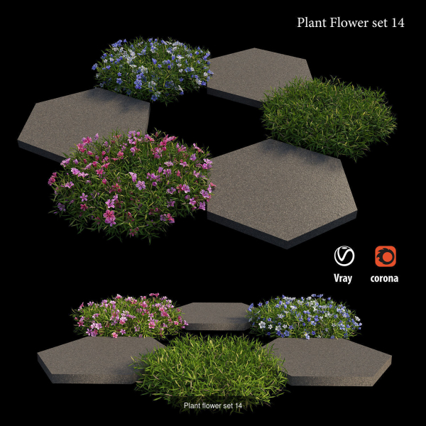 Flower Plant