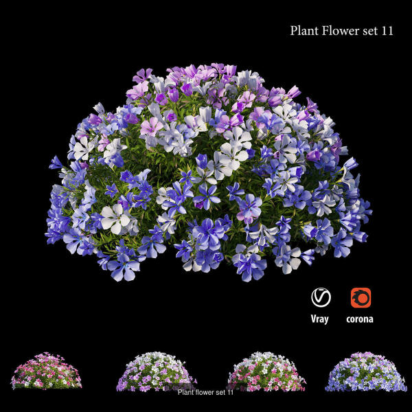 Flower Plant