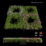 Flower Plant
