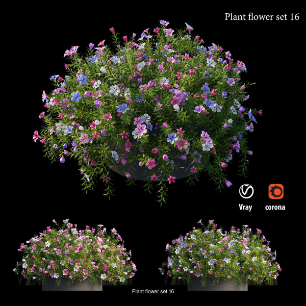 Flower Plant