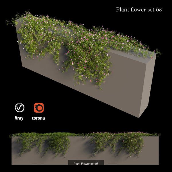 Flower Plant