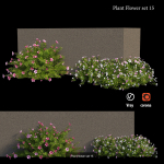 Flower Plant