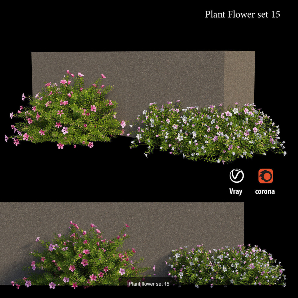 Flower Plant