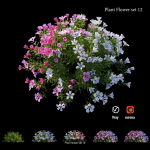 Flower Plant