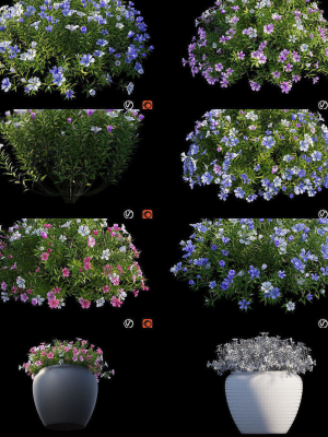 flower-plant-3d-model-a53429f801