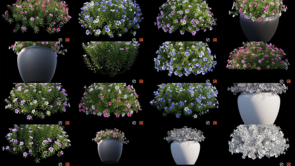 Flower Plant