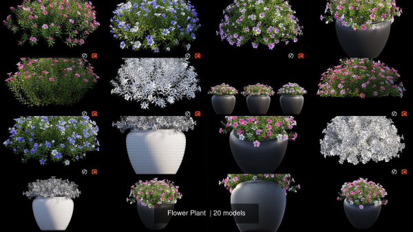 Flower Plant