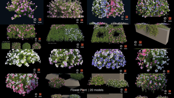 Flower Plant