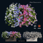 Flower Plant