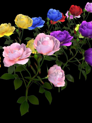 flower-rose-bungaria-3d-model-low-poly-obj-mtl-fbx-unitypackage-prefab