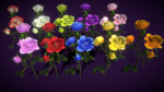 Flower Rose Bungaria