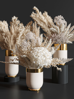 Flower Set 010 Pampas